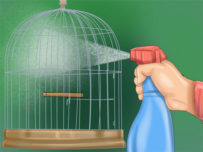 Как чистить клетку попугая
