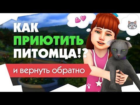 Как отдать собаку в приют в симс 4