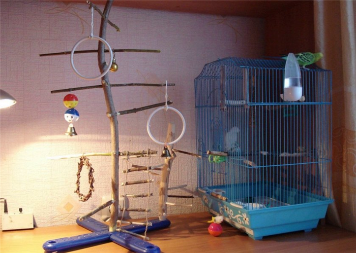 Игровой стенд для попугаев