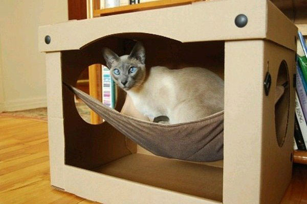 Кошка на гамаке в домике