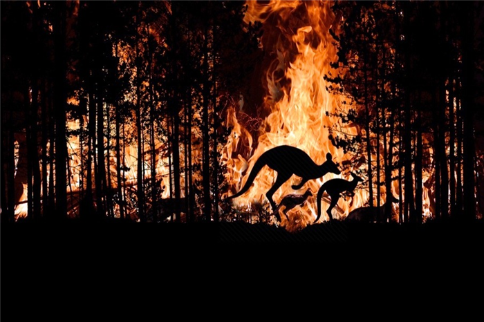Австралийские пожары фото