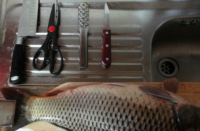 Для чистки понадобится нож или рыбочистка, разделочная доска, кулинарные ножницы, пищевая пленка / Фото: legkovmeste.ru