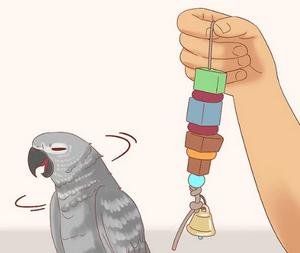 лечение попугая при отравлении