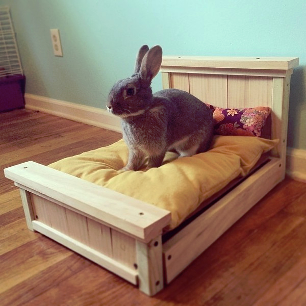 Кровать кролика