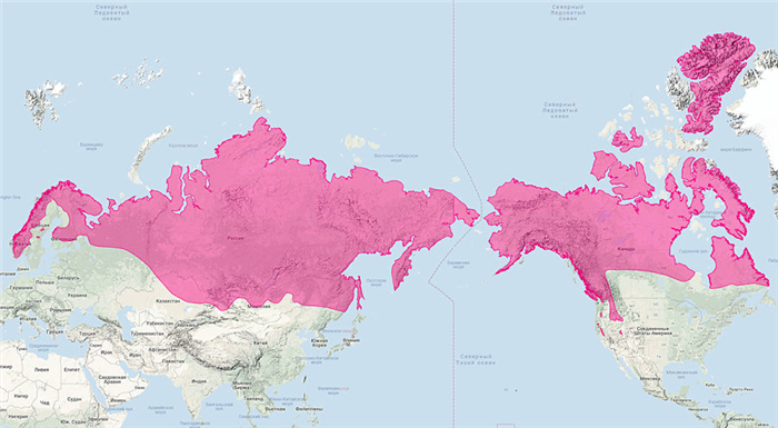 ареал обитания росомахи на карте Ареал обитания росомахи на карте