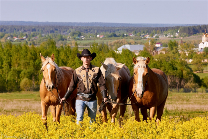 Успешное коневодство: как и зачем разводить лошадей