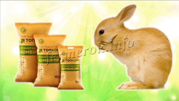 Молодняк кроликов кормят теми же продуктами, что и взрослых, только дают специфический комбикорм для молодняка