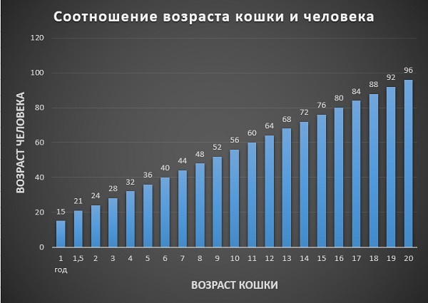 Таблица перевода лошадиного возраста в человеческий