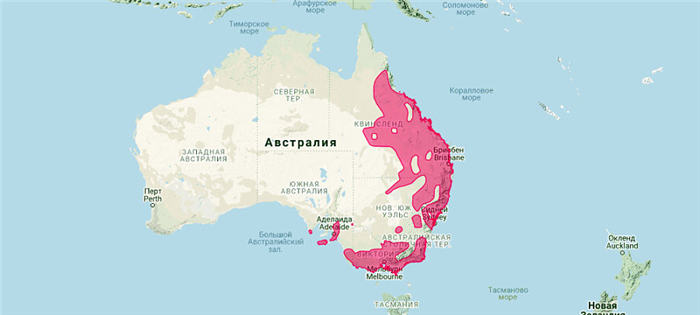 ареал обитания коалы на карте
