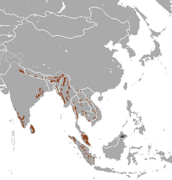 карта ареала азиатских слонов